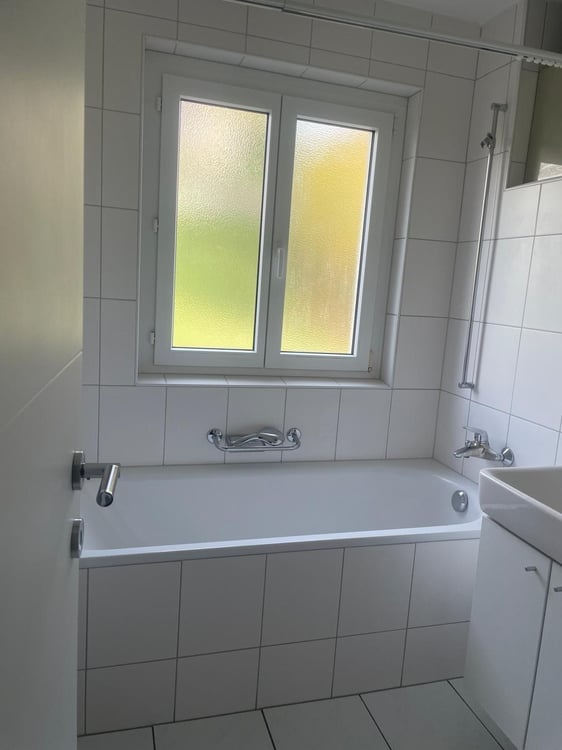Helle und frisch renovierte 4-Zimmer-Wohnung mit Balkon und viel Platz 8