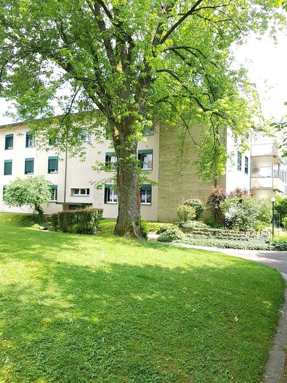 Wohnung mit herrlichem grünen Umschwung ! 3