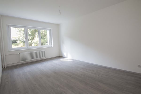 Totalsaniert - Moderner Stil 6