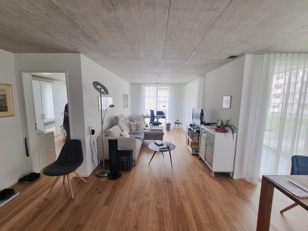 Neubau - mit grüner Umschwung 6