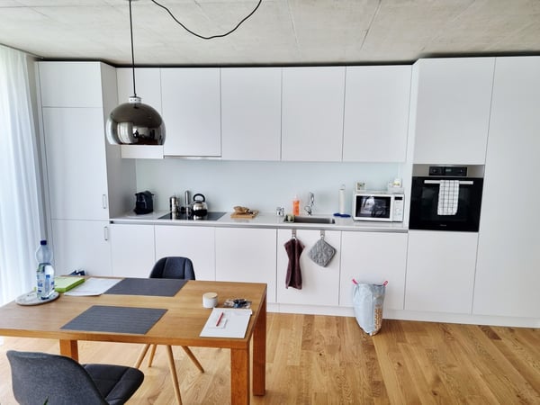 Neubau - mit grüner Umschwung 3