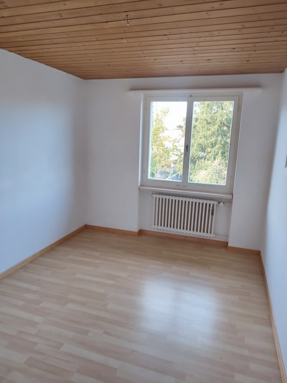 Genau was Sie suchen! 6