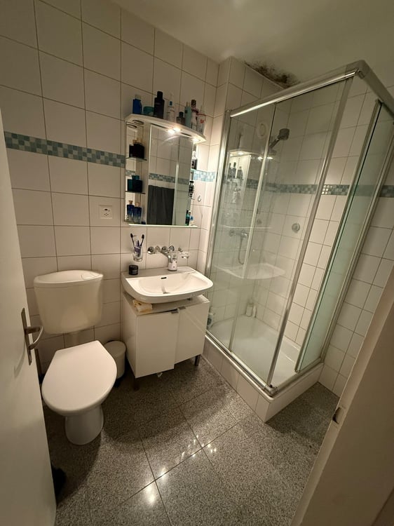 Charmante 1.5-Zimmer Bijou-Wohnung in Dübendorf  Im Winkel 7 10