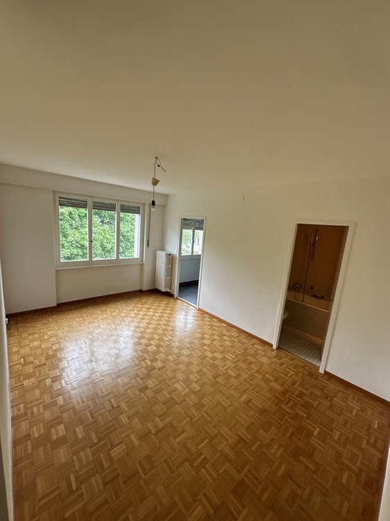 Studio renové près du Chuv et métro! Endroit calme et vert! 3