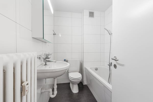Renovierte Küche und Badezimmer! So ein Angebot lassen Sie sich nicht nehmen ! 7