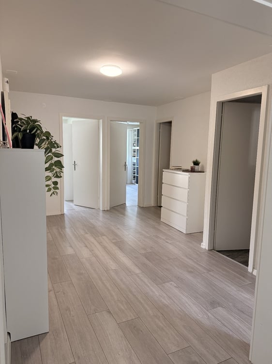 Charmante 3,5 Zimmerwohnung -Erlenstrasse 10, 4410-Liestal, Baselland 3