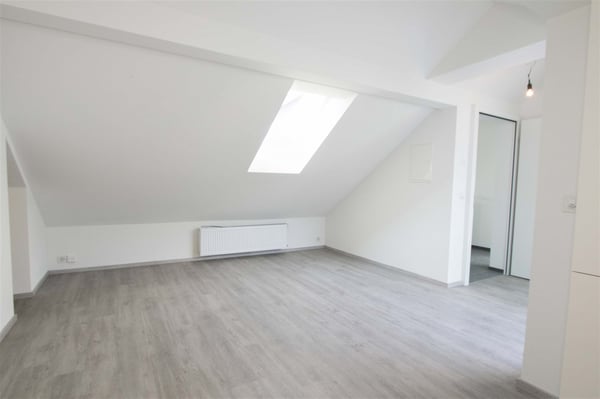 Moderne Dachwohnung mit ganz toller Aussicht! 4