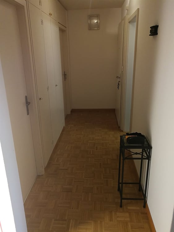 Traumsicht auf den Zürichsee! 4