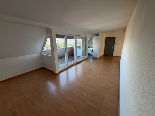 Traumhafte Dachwohnung mit atemberaubender Aussicht über Zürich! 3