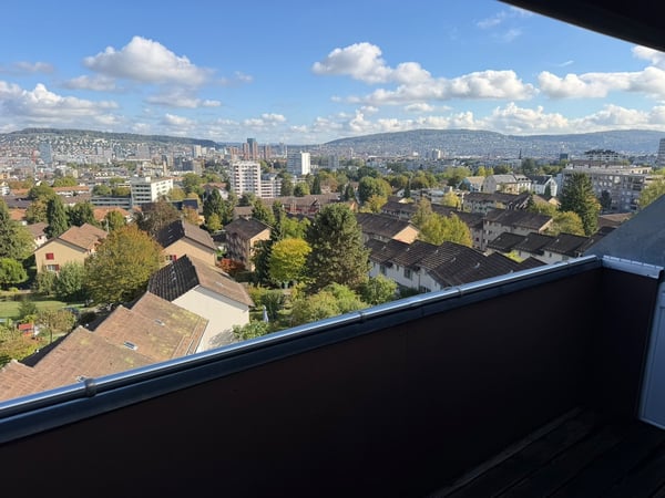 Traumhafte Dachwohnung mit atemberaubender Aussicht über Zürich! 8