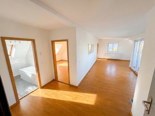 Traumhafte Dachwohnung mit atemberaubender Aussicht über Zürich! 2