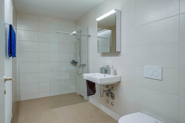 grosszügige Dachwohnung 8