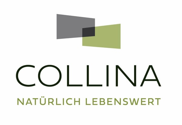 Viel Gestaltungsfreiraum - Baubeginn Juni 2025 7