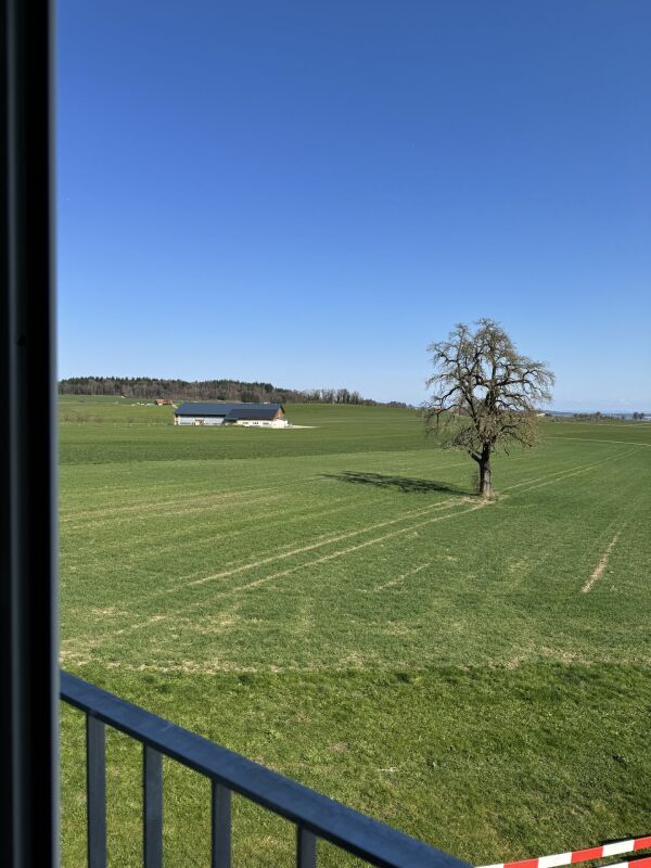 Alpenblick Wetzikon TG