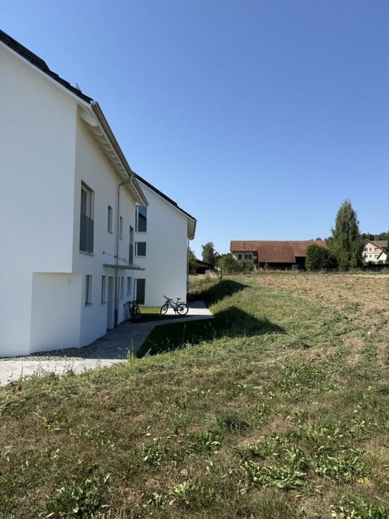 Alpenblick Wetzikon TG 5