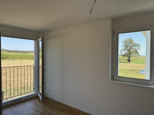 Alpenblick Wetzikon TG 12