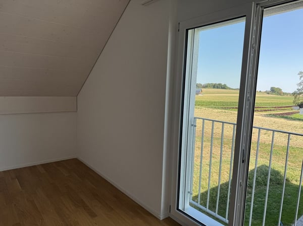 Alpenblick Wetzikon TG 15
