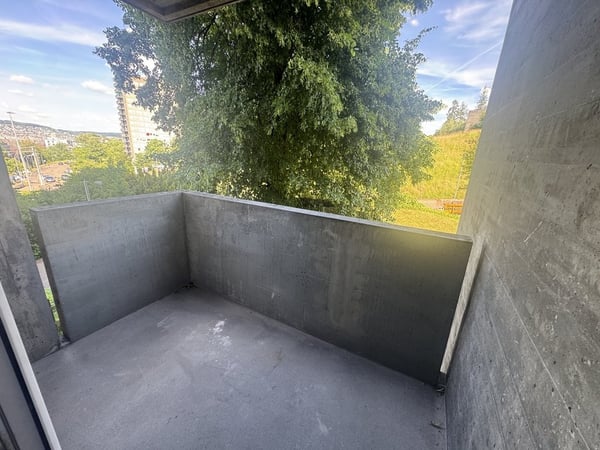 4 Zimmer-Wohnung, 8055 Zürich 7
