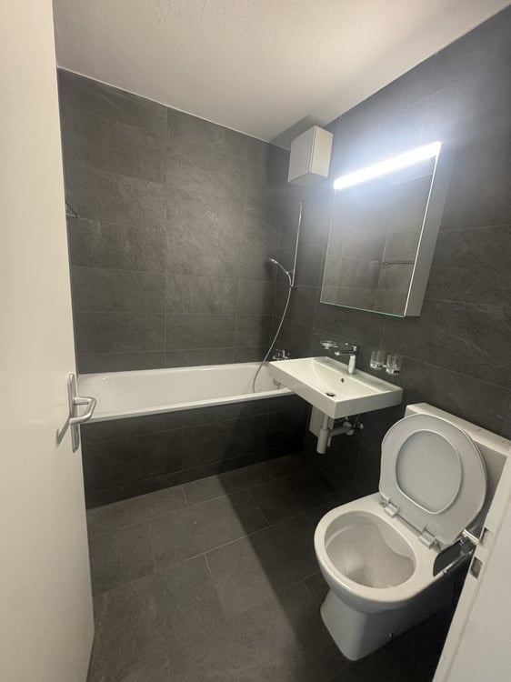 4 Zimmer-Wohnung, 8055 Zürich 5