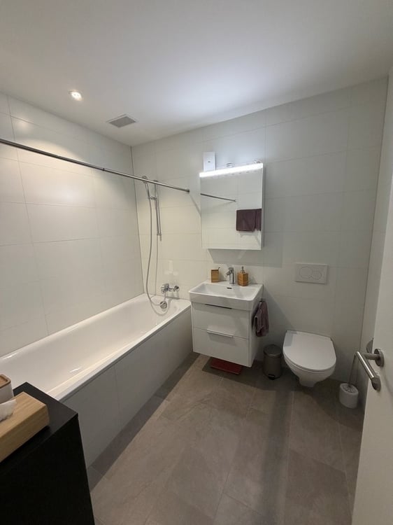 1 ½ Zimmer-Wohnung, 8055 Zürich 2