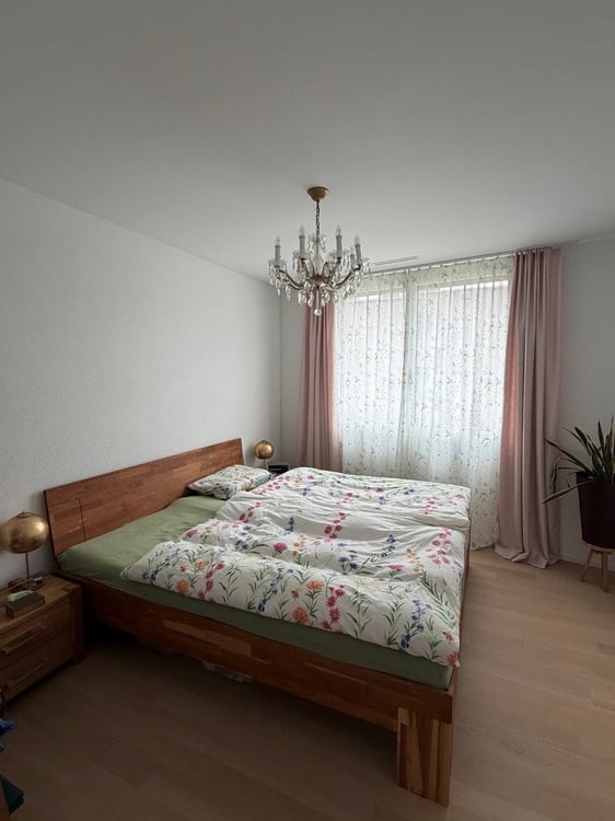 1 ½ Zimmer-Wohnung, 8055 Zürich 6