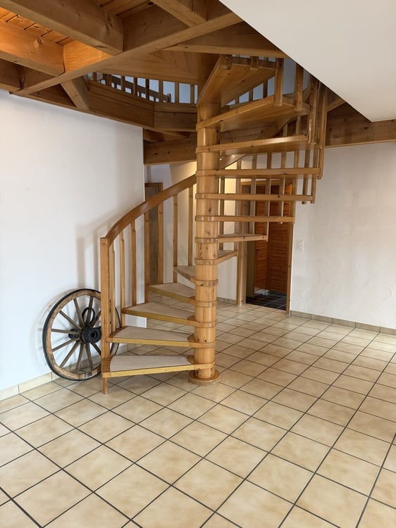 Grosszügige 215 m² Wohnung mit Sauna, Galerie und grosser Terrasse 2