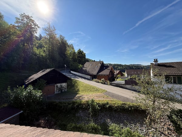 Charmantes Einfamilienhaus mit grossem Garten und viel Potenzial 6