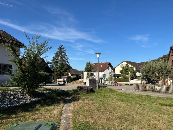 Charmantes Einfamilienhaus mit grossem Garten und viel Potenzial 3