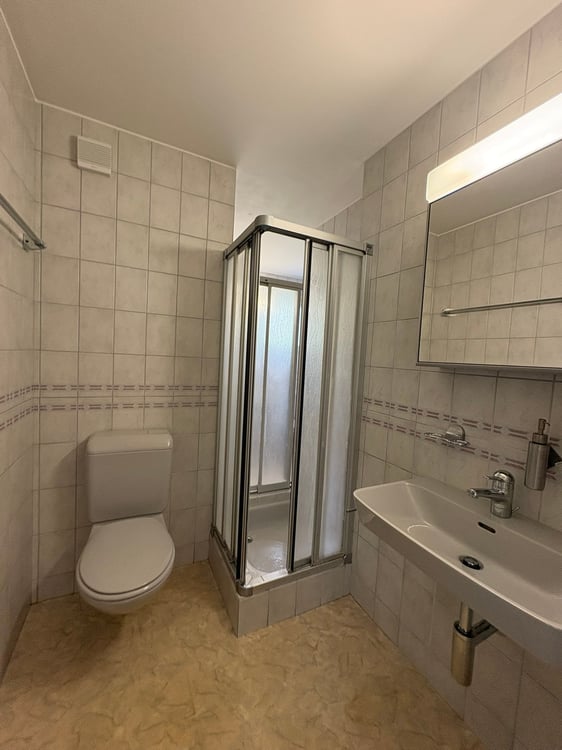 Renovierte helle 4.5-Zimmer-Dachgeschosswohnung mit Balkon in Bassersdorf 15