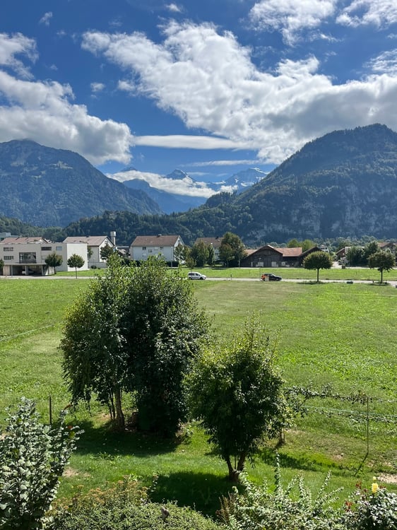 4.5-Zimmerwohnung an beliebter Lage in Unterseen 2