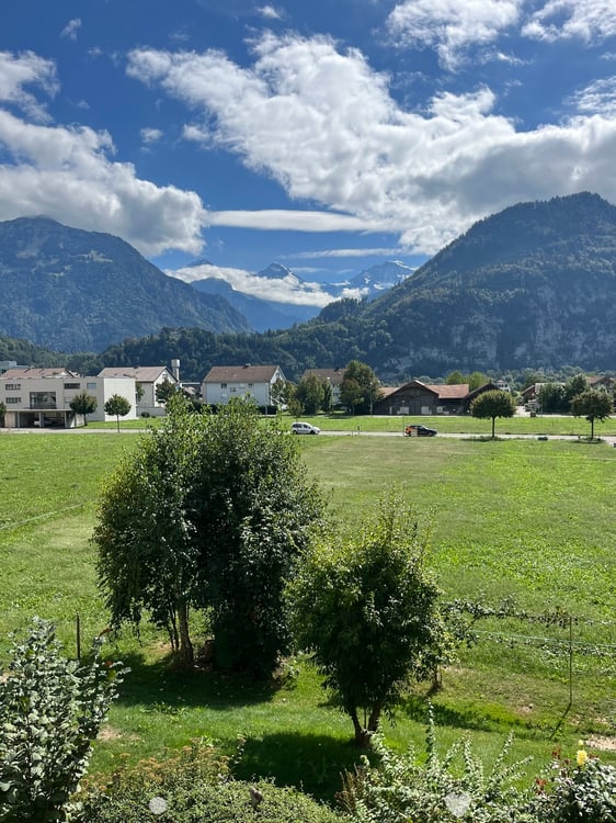 2.5-Zimmerwohnung an beliebter Lage in Unterseen 2