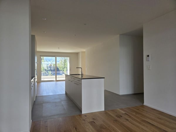 4 1/2-Zimmer-Wohnung - Neubauprojekt