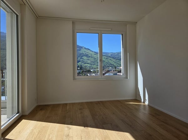 4 1/2-Zimmer-Wohnung - Neubauprojekt
