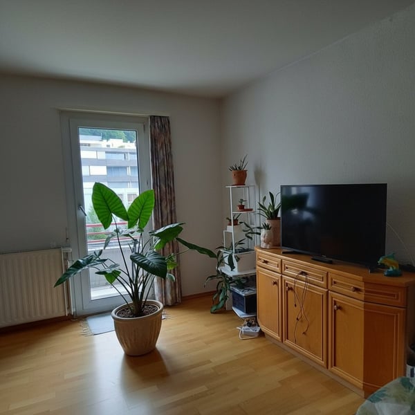 3-Zimmerwohnung in Littau 3
