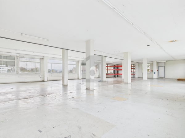 GROSSE FLÄCHE AN GUTER LAGE 1