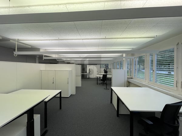 GROSS UND HELL AN ZENTRALER LAGE 5