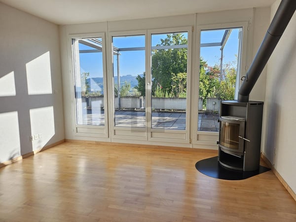 TRAUMHAFTE SICHT ÜBER DAS LIMMATTAL 2