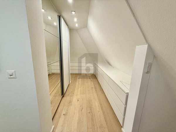 PANORAMABLICK ZUM BODENSEE 4