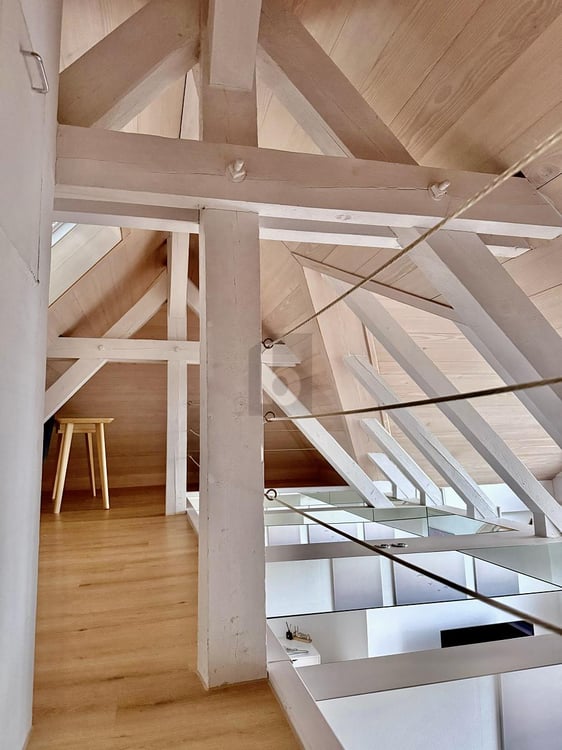 PANORAMABLICK ZUM BODENSEE 5