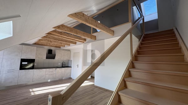 BAIGNÉ DE LUMIÈRE, SPACIEUX ET NEUF 3