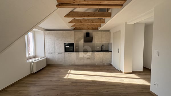 BAIGNÉ DE LUMIÈRE, SPACIEUX ET NEUF 1