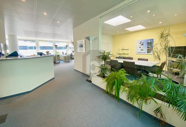 VIELSEITIG NUTZBARE FLÄCHE 2