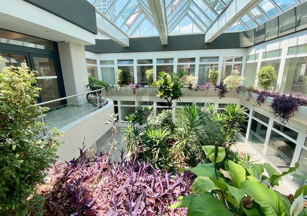 VIELSEITIG NUTZBARE FLÄCHE