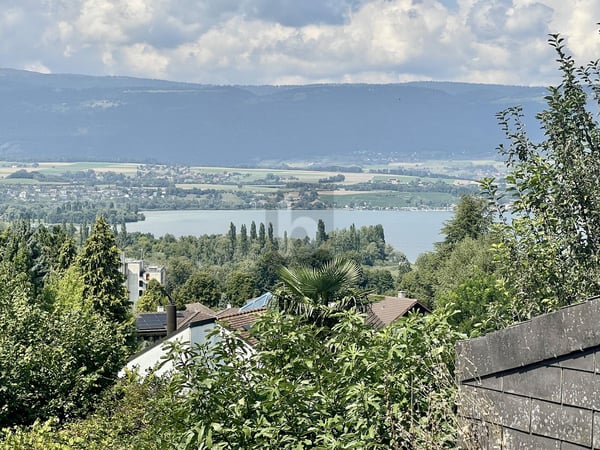 MAGNIFIQUE DANS UN ENVIRONNEMENT PAISIBLE 5