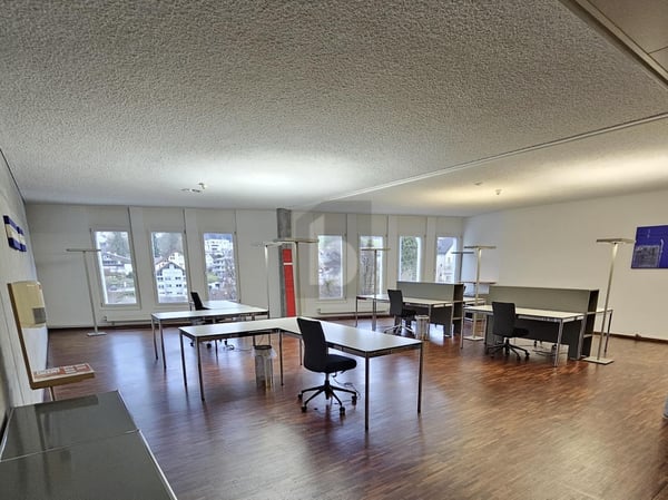 WEITLÄUFIGE GESCHÄFTSFLÄCHE 2