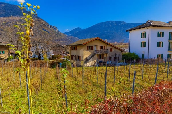 PROPRIÉTÉ AVEC TERRAIN À BÂTIR 1