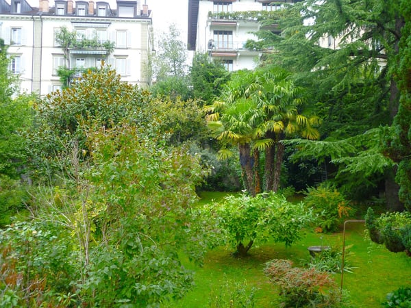 UN HAVRE DE PAIX LUMINEUX 5