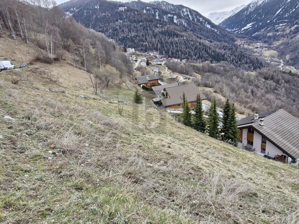 BELLE PARCELLE À BÂTIR 3