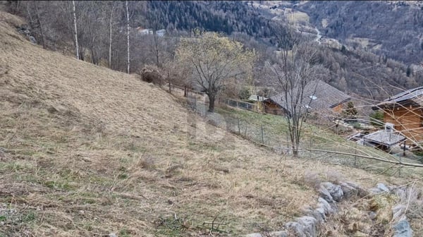 BELLE PARCELLE À BÂTIR 4