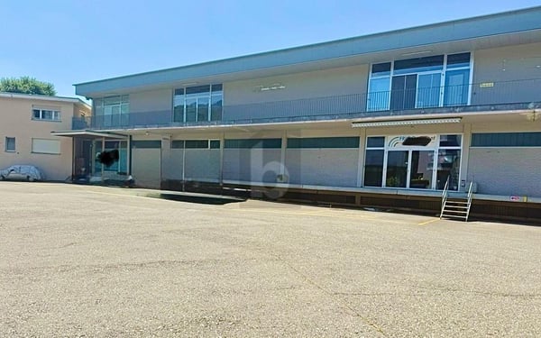 OPPORTRUNITA' UNICA 3